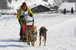 Lenk 2012 SM